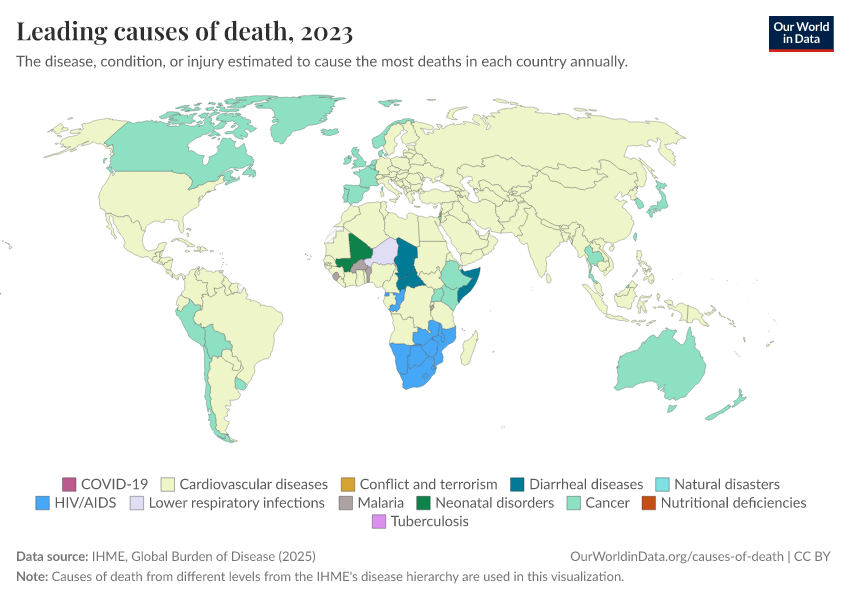 A thumbnail of the "Leading causes of death" chart